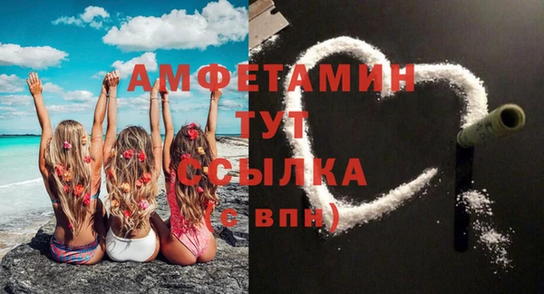 ПСИЛОЦИБИНОВЫЕ ГРИБЫ Вязники